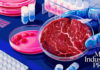 Оценка безопасности культивированного мяса Bene Meat Technologies Оценка безопасности культивированного мяса Bene Meat Technologies — яркая цифровая иллюстрация лабораторной сцены: чашка Петри с розовой питательной средой и клеточными культурами, стеклянная миска с мраморным культивированным мясом, синие защитные перчатки, пробирки и планшеты на тёмно-синем столе, Meat Industry PRO