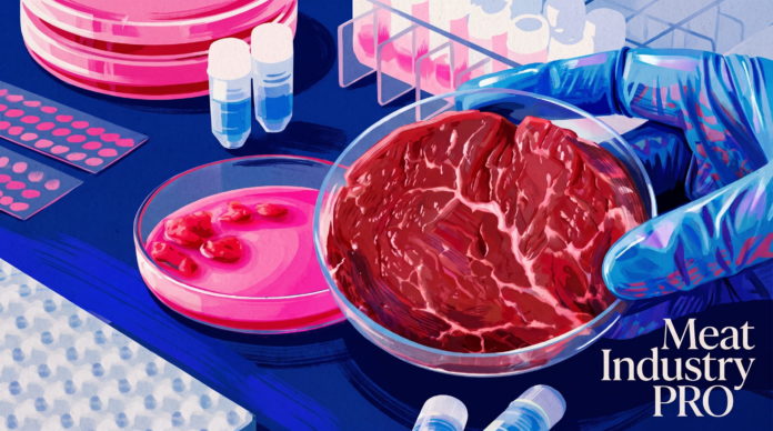 Оценка безопасности культивированного мяса Bene Meat Technologies — яркая цифровая иллюстрация лабораторной сцены: чашка Петри с розовой питательной средой и клеточными культурами, стеклянная миска с мраморным культивированным мясом, синие защитные перчатки, пробирки и планшеты на тёмно-синем столе, Meat Industry PRO