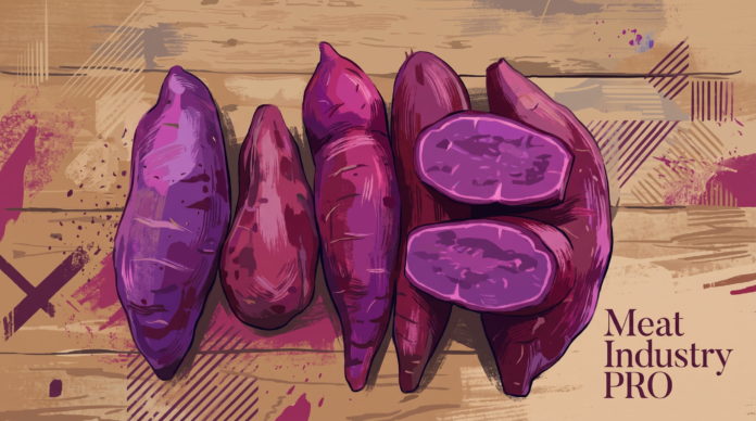 Умная упаковка для мяса меняет цвет и затягивает порезы — фиолетовый батат с антоцианами, источник натурального pH-индикатора для умной упаковки мяса, на деревянной поверхности в пурпурно-бежевой графичной иллюстрации, Meat Industry PRO